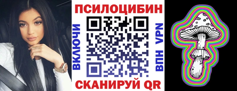 Псилоцибиновые грибы Psilocybine cubensis  Белорецк 